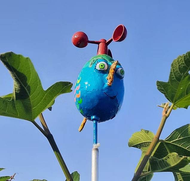 Petrasbuntewelt.com